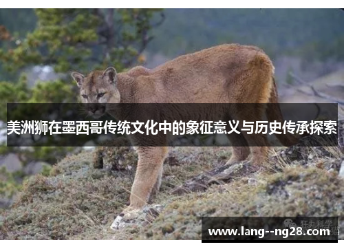 美洲狮在墨西哥传统文化中的象征意义与历史传承探索