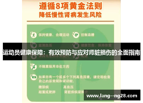 运动员健康保障：有效预防与应对肾脏损伤的全面指南