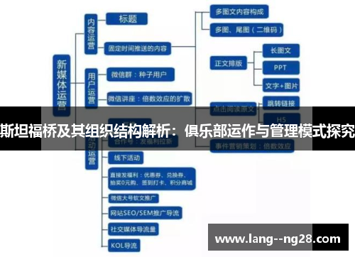 斯坦福桥及其组织结构解析:俱乐部运作与管理模式探究 斯坦福桥及其组织结构解析:俱乐部运作与管理模式探究